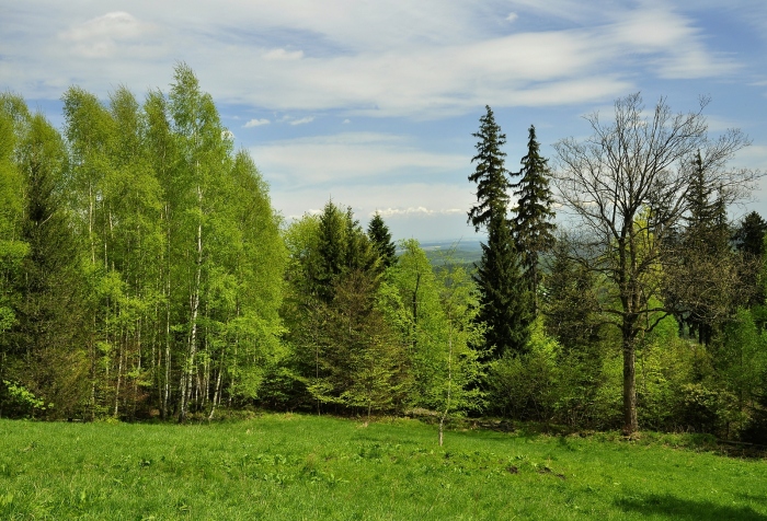 Rudolfova loučka pod Bišovkou